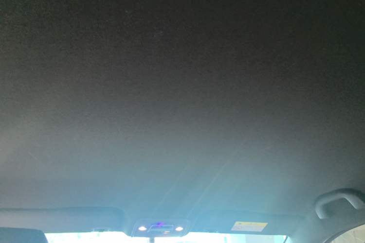 Used BYD Seagull 2023 Free Edition Headliner