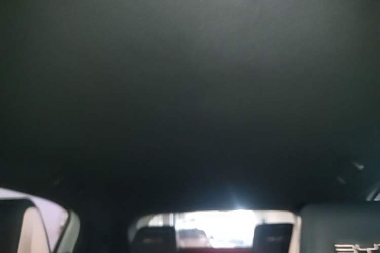 Used BYD Seagull 2023 Free Edition Headliner