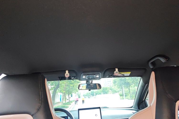Used BYD Seagull 2023 Free Edition Headliner