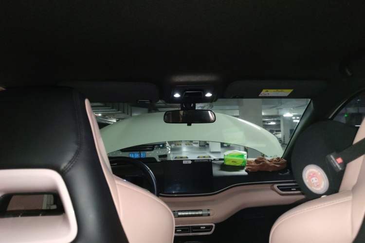 Used BYD Seagull 2023 Free Edition Headliner