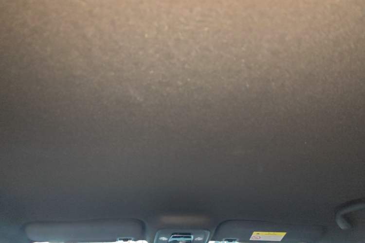 Used BYD Seagull 2023 Flying Edition Headliner
