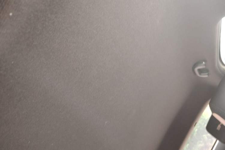 Used BYD Seagull 2023 Free Edition Headliner