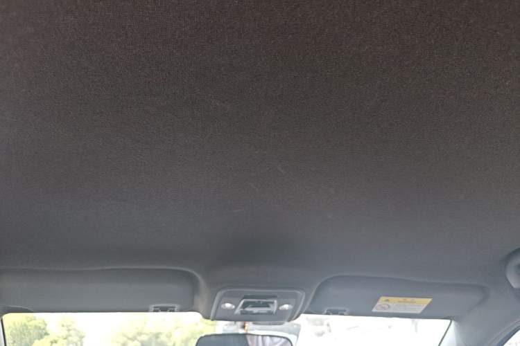 Used BYD Seagull 2023 Free Edition Headliner