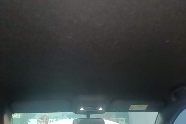 Used BYD Seagull 2023 Flying Edition Headliner