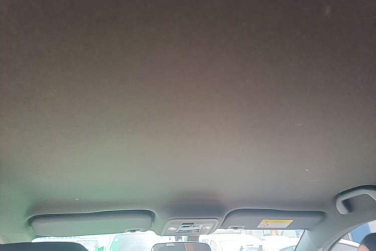 Used BYD Seagull 2023 Free Edition Headliner