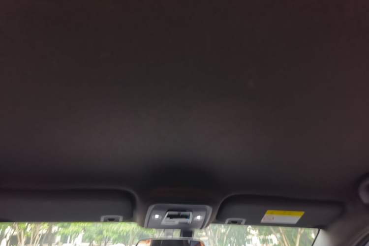 Used BYD Seagull 2023 Free Edition Headliner