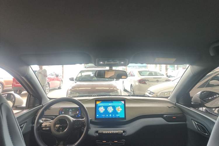Used BYD Seagull 2023 Flying Edition Headliner