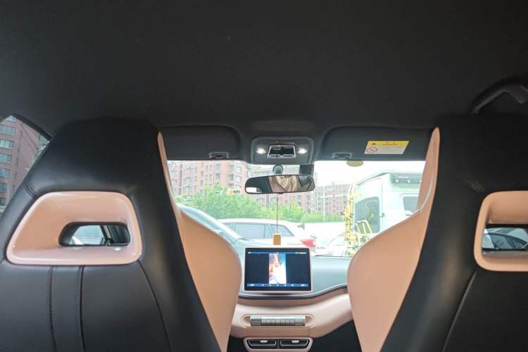 Used BYD Seagull 2023 Free Edition Headliner