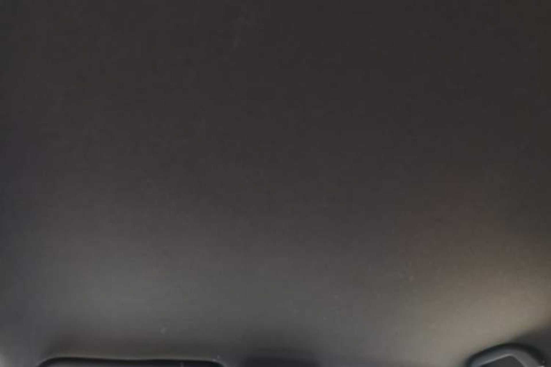 Used BYD Seagull 2023 Flying Edition Headliner