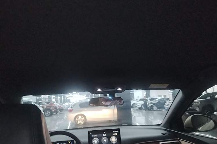 Used BYD Seagull 2023 Free Edition Headliner