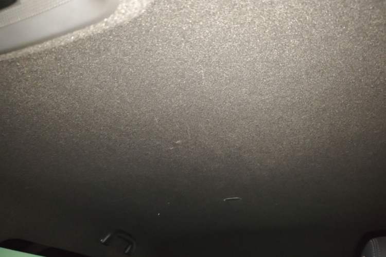Used BYD Seagull 2023 Free Edition Headliner