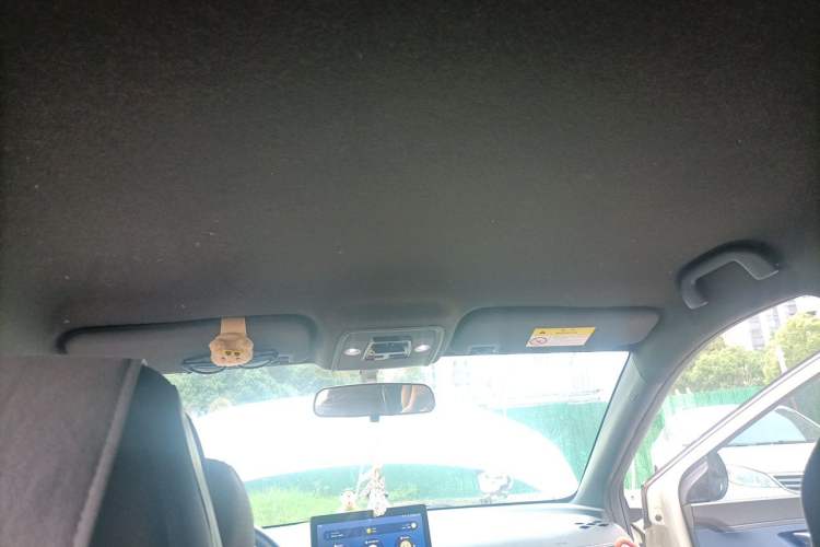 Used BYD Seagull 2023 Free Edition Headliner