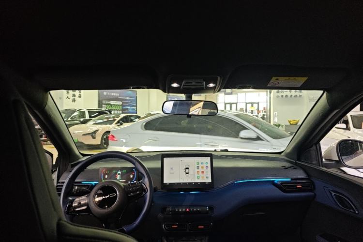 Used BYD Seagull 2023 Flying Edition Headliner
