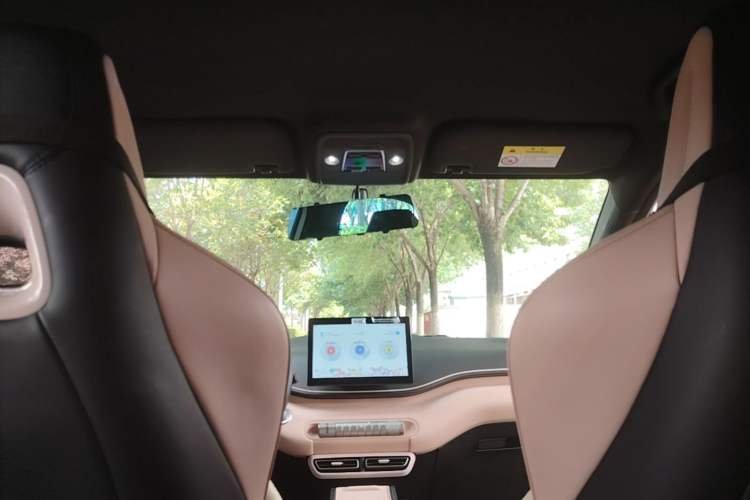 Used BYD Seagull 2023 Free Edition Headliner