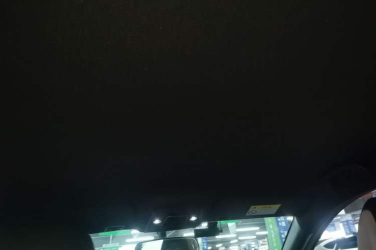 Used BYD Seagull 2023 Free Edition Headliner