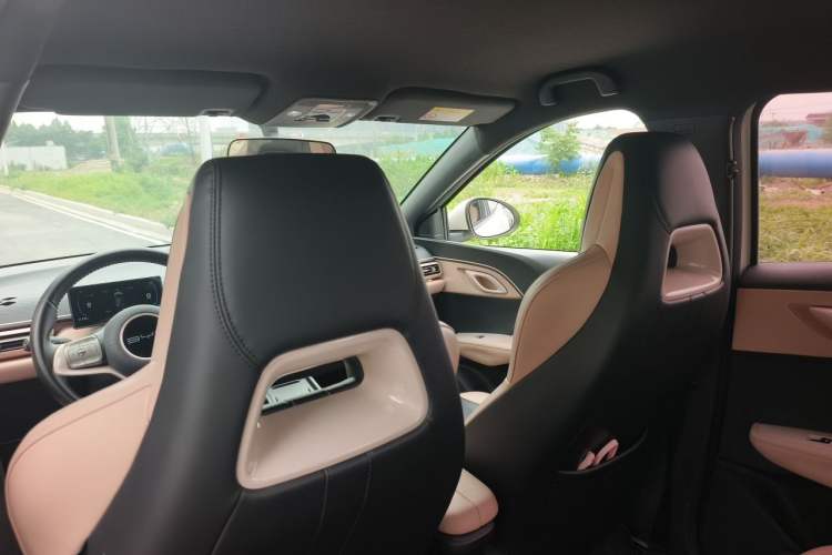Used BYD Seagull 2023 Flying Edition Headliner