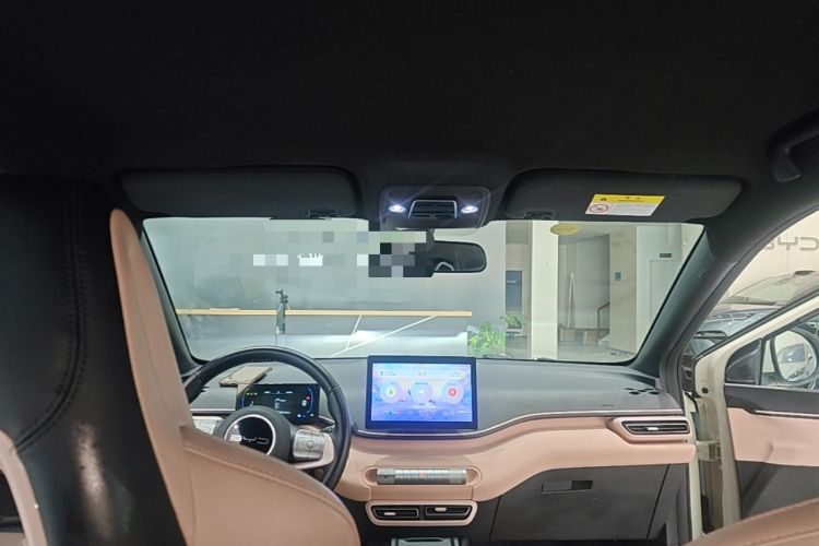 Used BYD Seagull 2023 Free Edition Headliner