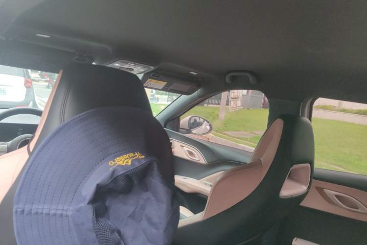Used BYD Seagull 2023 Free Edition Headliner