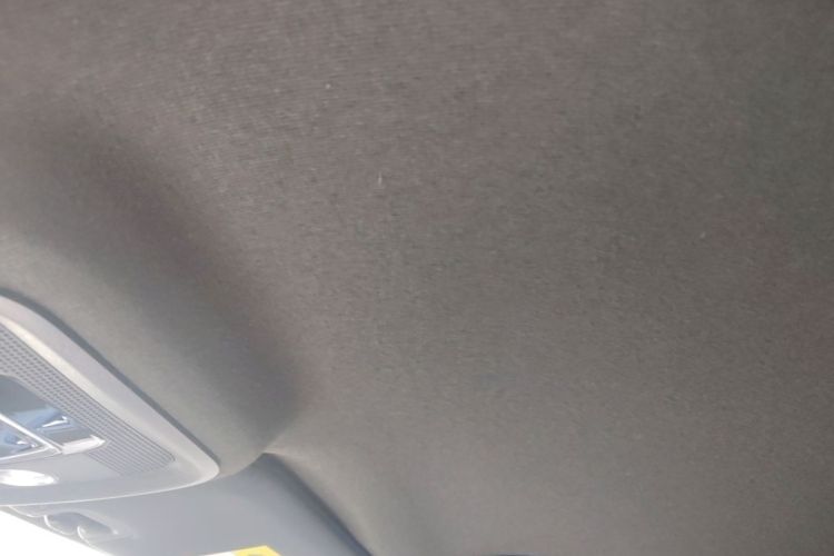 Used BYD Seagull 2023 Free Edition Headliner