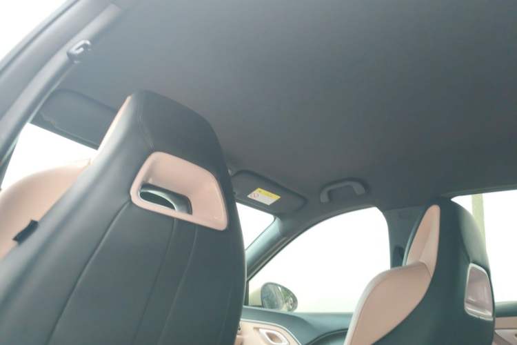 Used BYD Seagull 2023 Flying Edition Headliner