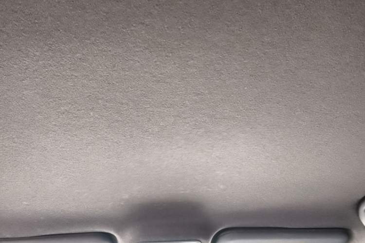Used BYD Seagull 2023 Free Edition Headliner