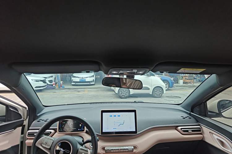 Used BYD Seagull 2023 Free Edition Headliner