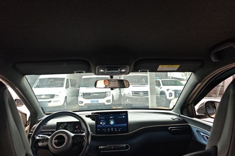 Used BYD Seagull 2023 Free Edition Headliner