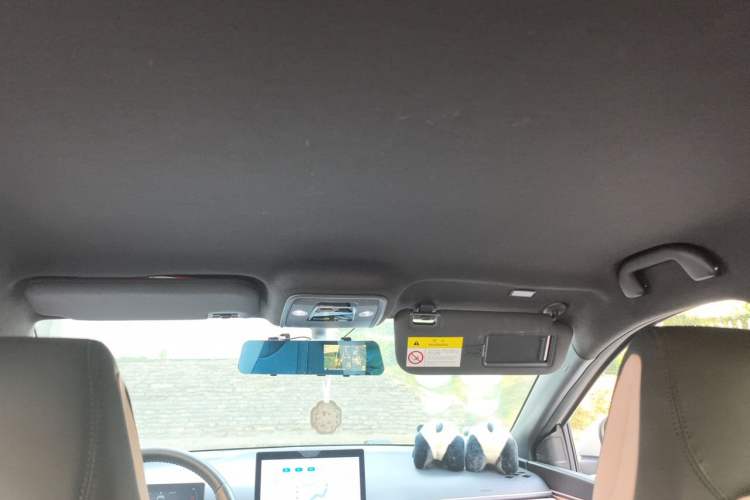 Used BYD Seagull 2023 Flying Edition Headliner
