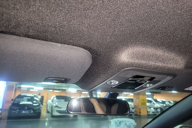 Used BYD Seagull 2023 Free Edition Headliner