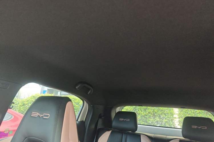 Used BYD Seagull 2023 Free Edition Headliner
