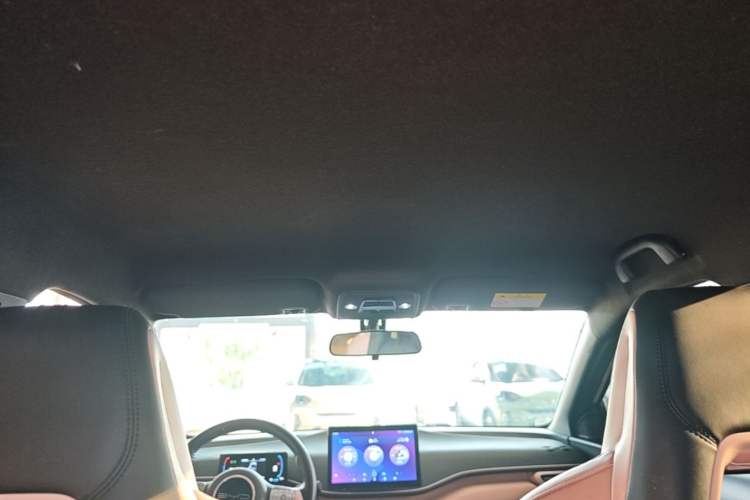 Used BYD Seagull 2023 Free Edition Headliner