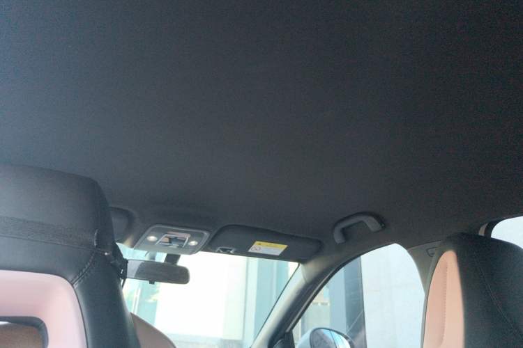 Used BYD Seagull 2023 Flying Edition Headliner