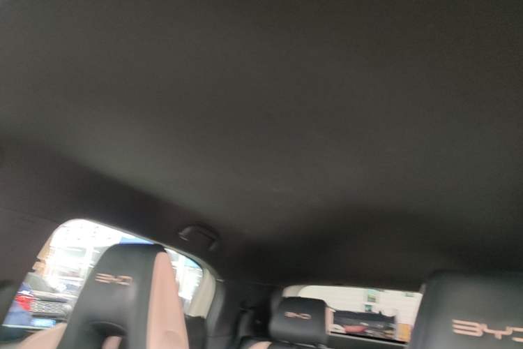 Used BYD Seagull 2023 Free Edition Headliner