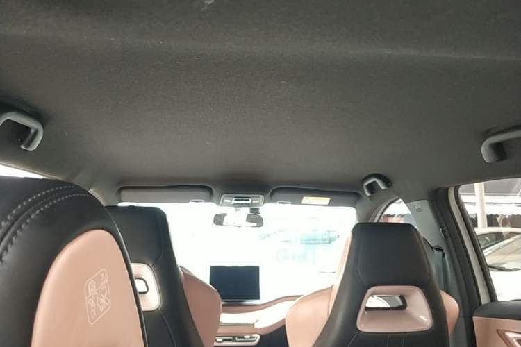 Used BYD Seagull 2023 Free Edition Headliner