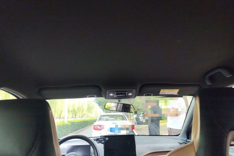Used BYD Seagull 2023 Flying Edition Headliner