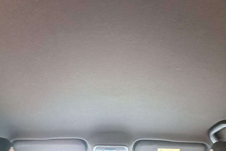 Used BYD Seagull 2023 Free Edition Headliner