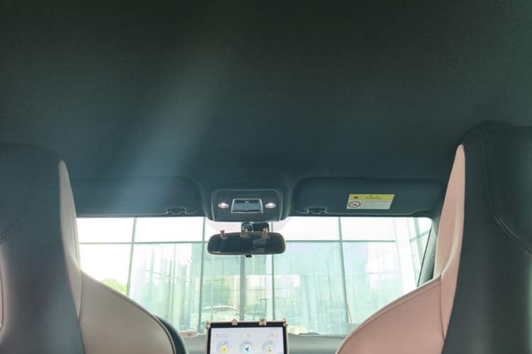 Used BYD Seagull 2023 Free Edition Headliner