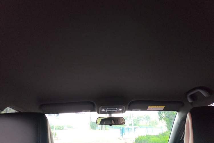 Used BYD Seagull 2023 Free Edition Headliner