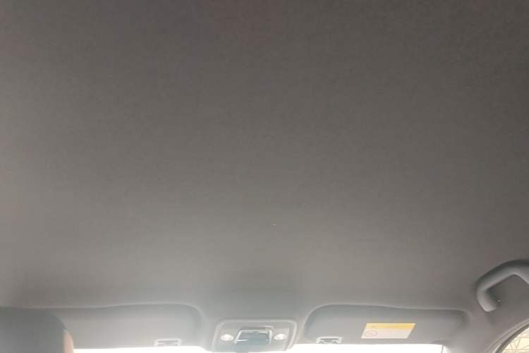Used BYD Seagull 2023 Free Edition Headliner