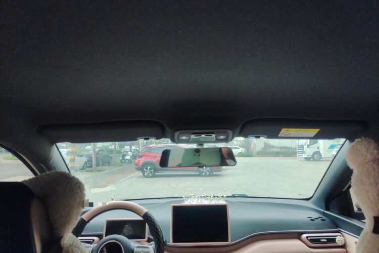 Used BYD Seagull 2023 Free Edition Headliner