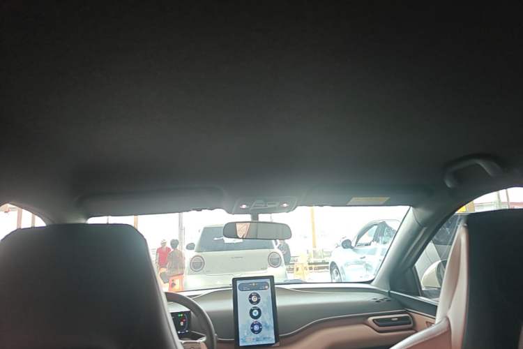 Used BYD Seagull 2023 Free Edition Headliner