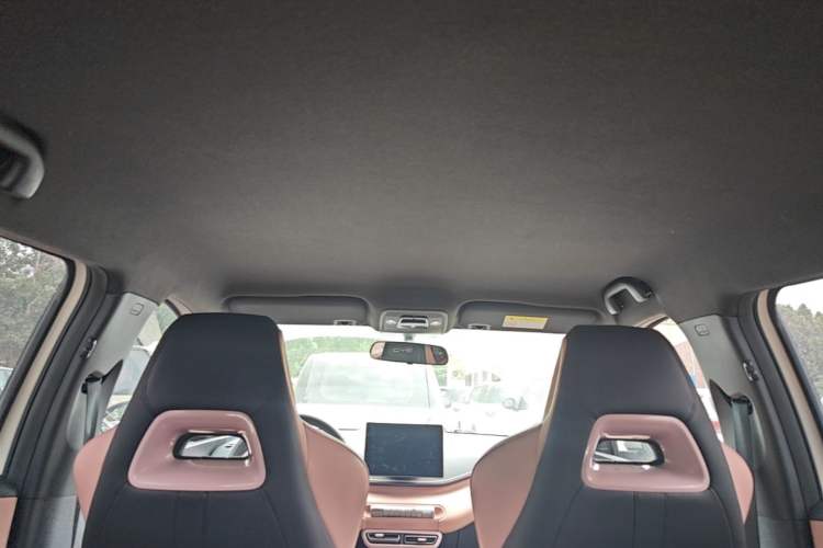 Used BYD Seagull 2023 Free Edition Headliner