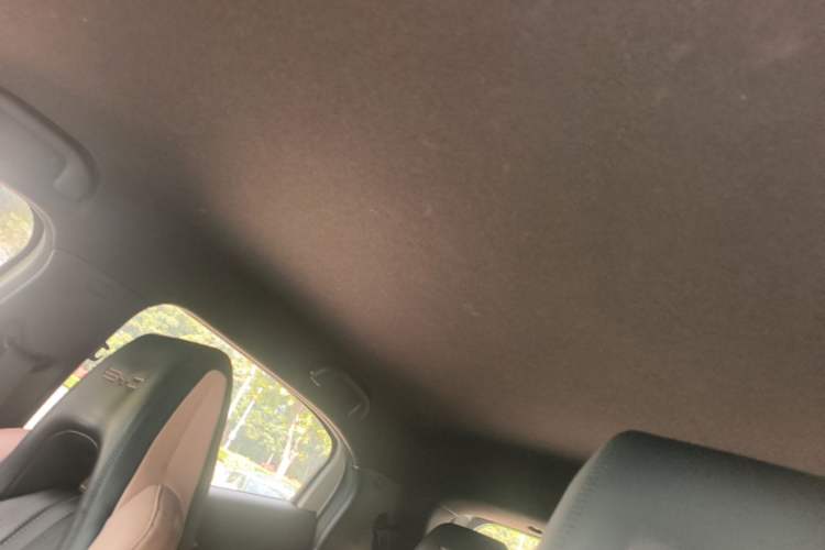 Used BYD Seagull 2023 Flying Edition Headliner