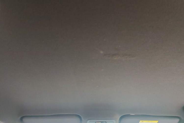 Used BYD Seagull 2023 Free Edition Headliner