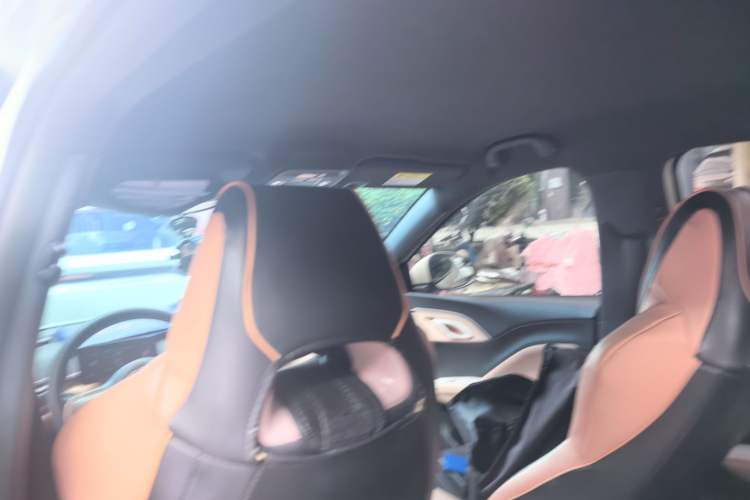 Used BYD Seagull 2023 Free Edition Headliner
