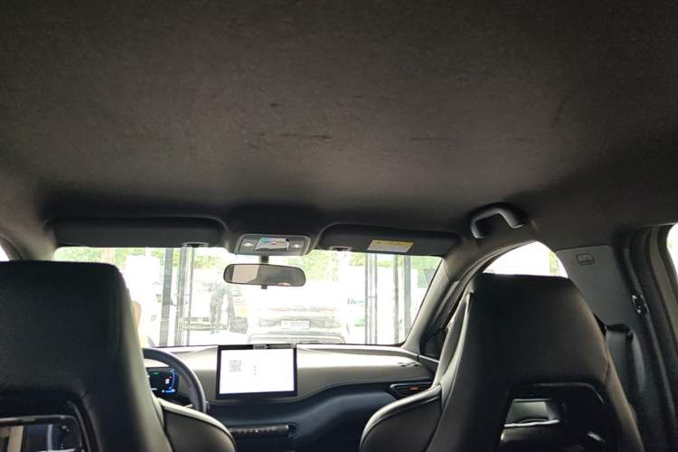 Used BYD Seagull 2023 Flying Edition Headliner