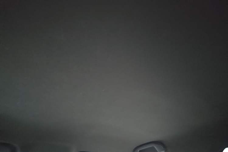 Used BYD Seagull 2023 Flying Edition Headliner