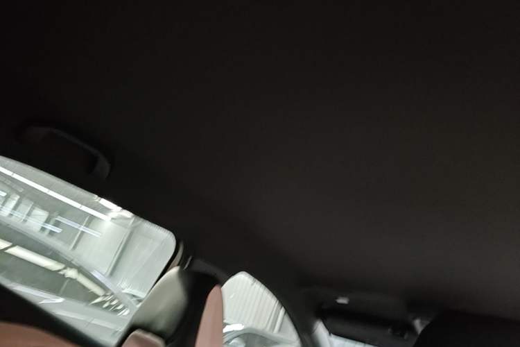 Used BYD Seagull 2023 Free Edition Headliner