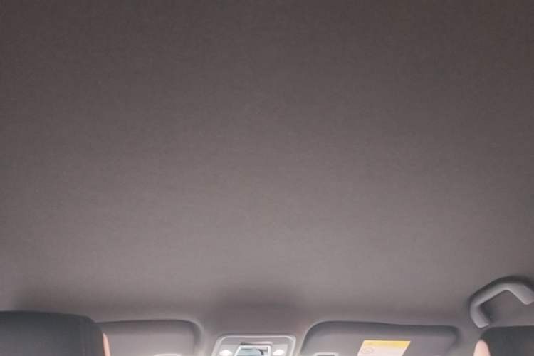 Used BYD Seagull 2023 Free Edition Headliner