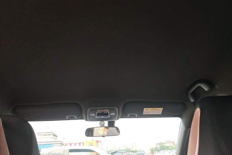 Used BYD Seagull 2023 Flying Edition Headliner